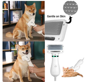 Cepillo secador para mascotas