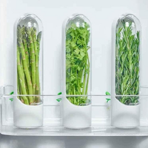 Conservador de verduras y hierbas